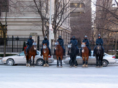 105-0595_IMG