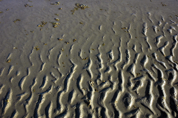 DSC_2180