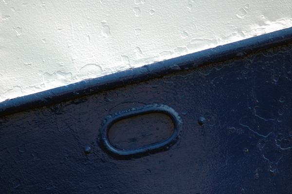 DSC_3007